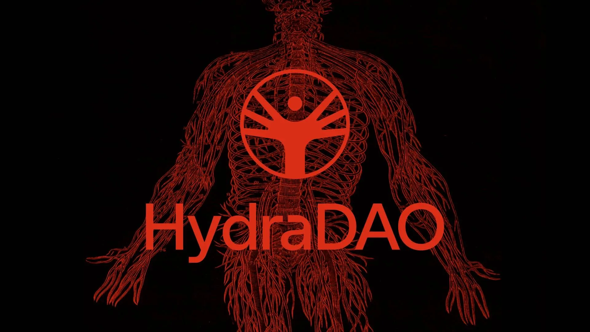HydraDAO backdrop