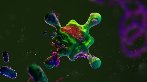 Bio.xyz backdrop